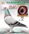 图片暂时未上传