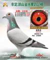 图片暂时未上传
