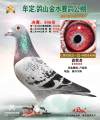 图片暂时未上传