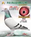 图片暂时未上传