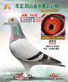 图片暂时未上传