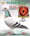 图片暂时未上传