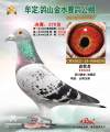 图片暂时未上传
