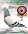 图片暂时未上传