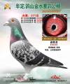 图片暂时未上传