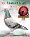 图片暂时未上传