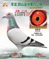 图片暂时未上传