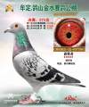 图片暂时未上传