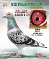 图片暂时未上传
