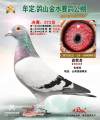 图片暂时未上传