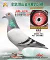 图片暂时未上传