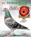 图片暂时未上传