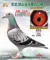 图片暂时未上传