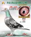 图片暂时未上传