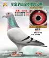 图片暂时未上传