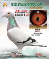 图片暂时未上传
