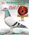 图片暂时未上传