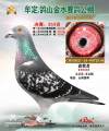 图片暂时未上传