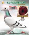 图片暂时未上传