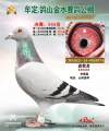 图片暂时未上传