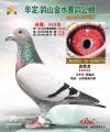 图片暂时未上传