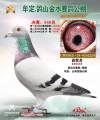 图片暂时未上传