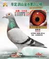 图片暂时未上传