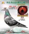 图片暂时未上传