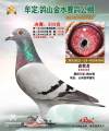 图片暂时未上传