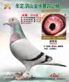 图片暂时未上传