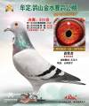 图片暂时未上传