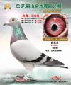 图片暂时未上传