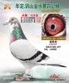 图片暂时未上传