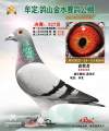 图片暂时未上传