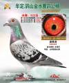 图片暂时未上传