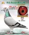图片暂时未上传