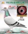 图片暂时未上传