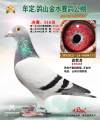 图片暂时未上传
