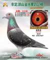 图片暂时未上传