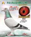 图片暂时未上传