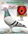 图片暂时未上传