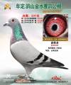 图片暂时未上传