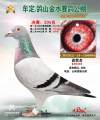 图片暂时未上传