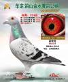 图片暂时未上传