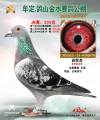 图片暂时未上传