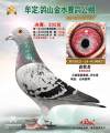 图片暂时未上传