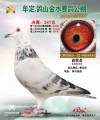 图片暂时未上传