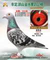 图片暂时未上传