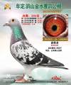 图片暂时未上传