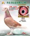 图片暂时未上传